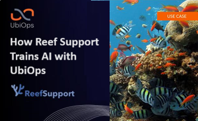 Reef Support uses satellite data to dive into coral reef monitoring and trains AI with UbiOps